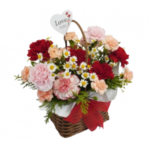 어버이날 카네이션